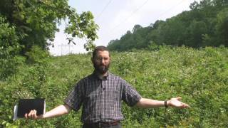 Pre Trib Rapture 11  What will trigger the rapture