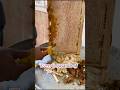“This Food Never Expires 😳🍯 (Shocking Truth!)”#FoodFacts #Honey #ViralShorts #DidYouKnow