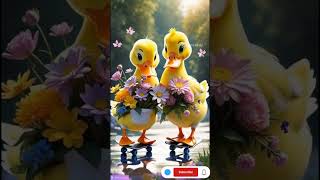Duck play love #shorts