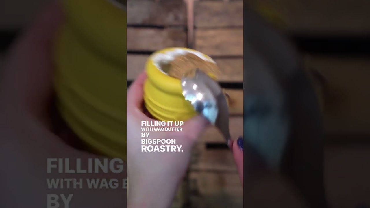 WOOOF.co.uk Soda Pup Honey Pot Enrichment Toy Serving Suggestion