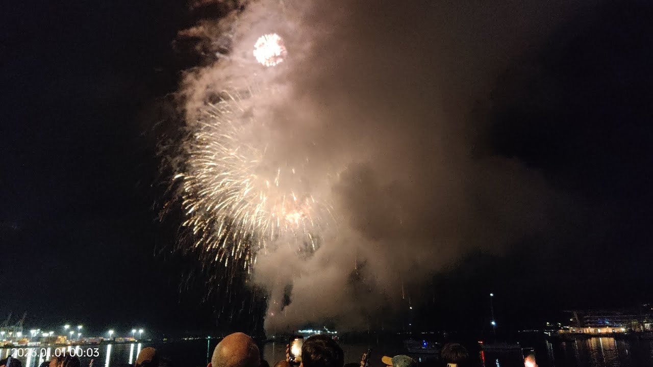 Happy New Year 2026 in Wellington, New Zealand #2026 #newyearfireworks ...