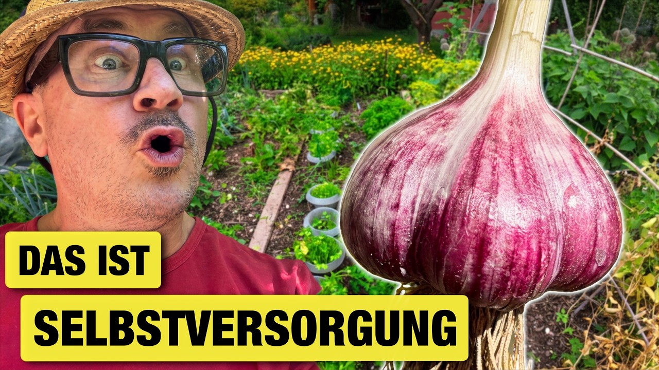 Seit Jahren erzählen das alle: Stimmt es überhaupt?