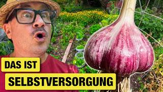 Seit Jahren erzählen das alle: Stimmt es überhaupt? @SelbstversorgerRigotti