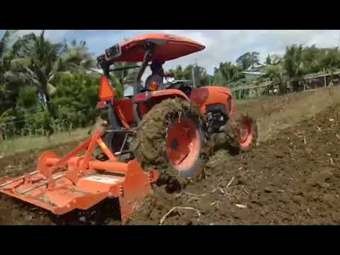 Last Harvest 🌽 Corn Malagkit And Cultivating for Second Crop #farming #farmer #buhayprobinsya