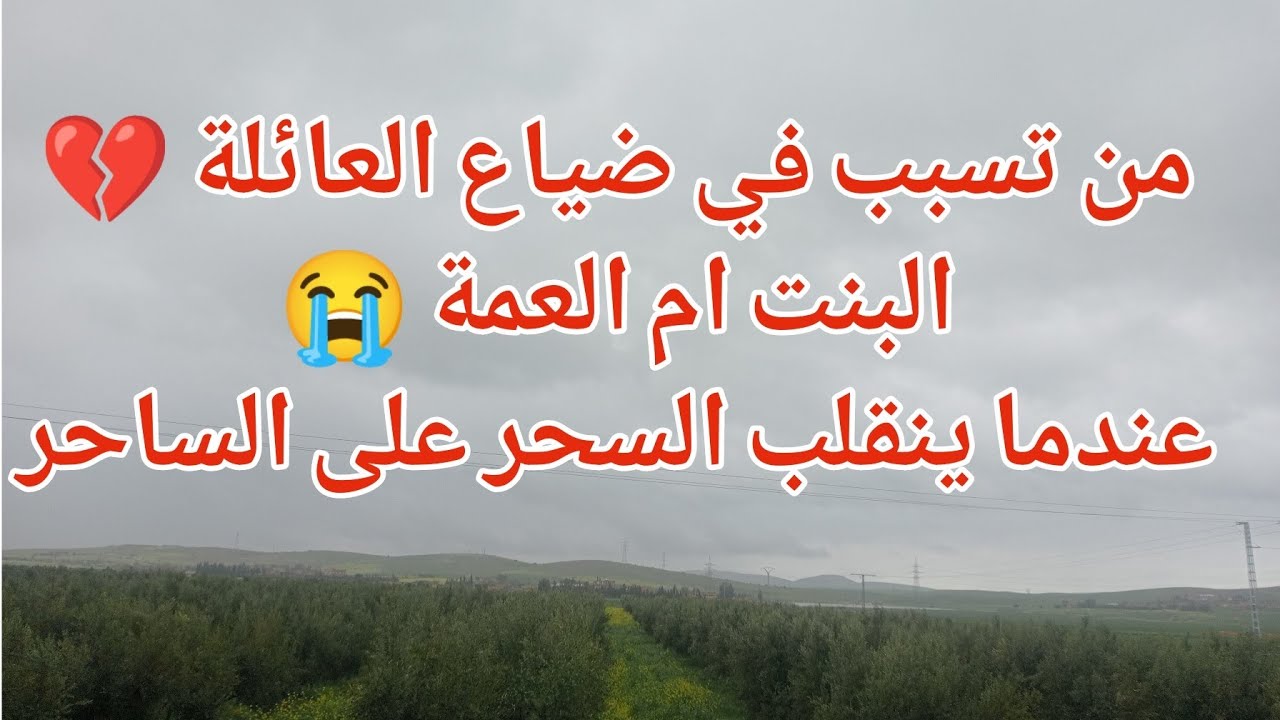 من تسبب في ضياع العائلة 💔البنت ام العمة 😭