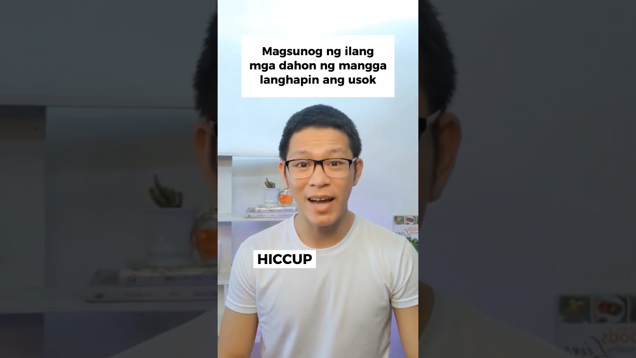 Ano ang Benepisyo ng Dahon ng mangga sa kalusogan! 