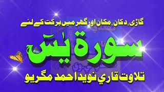 sorah yassin tilawat qari nawed ahmed magrio
