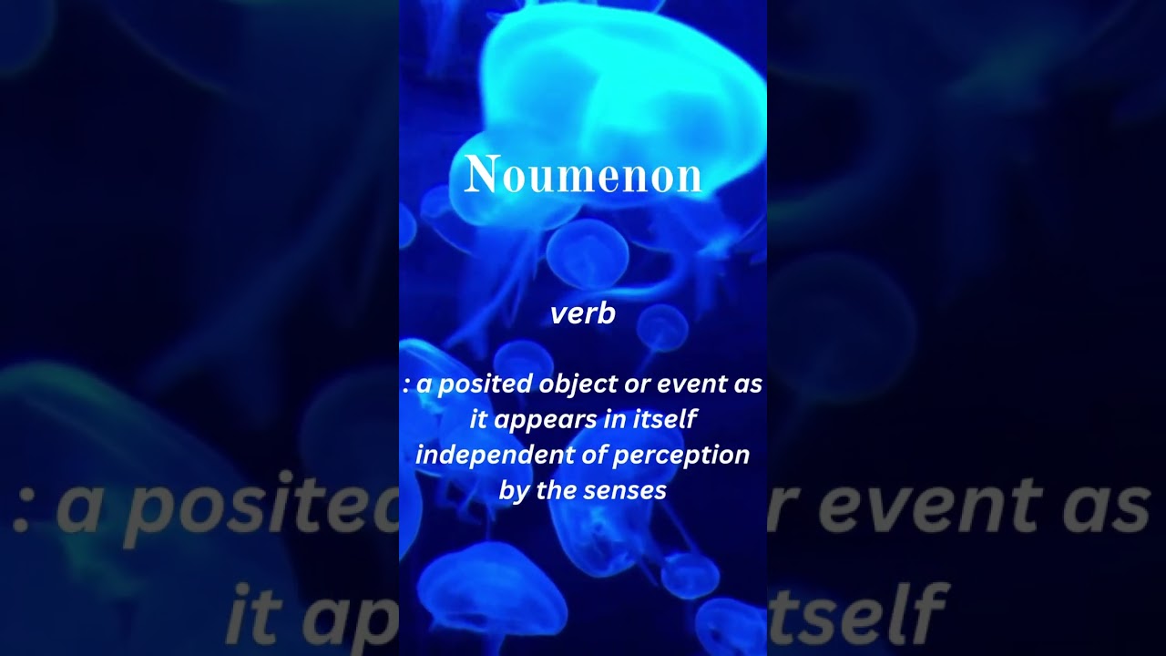 Noumenon - What do you think of this? 