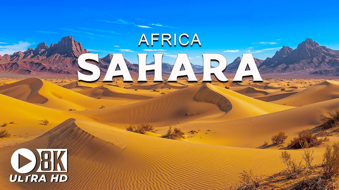 Sahara 8K UHD – Lost Amidst Golden Sand Dunes and Spectacular Sunsets