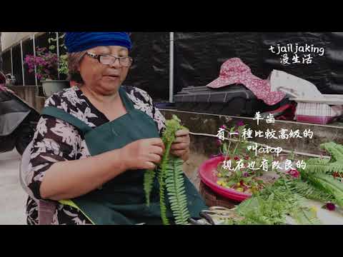 tjailjaking漫生活-排灣新娘頭飾