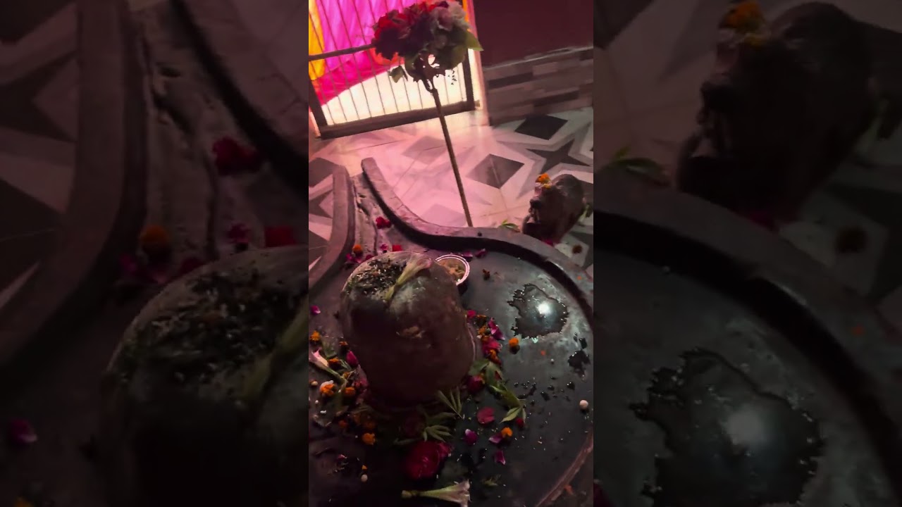 ये भजन कहीं नहीं मिलेगा आपको जो आज किशोरी जी ने गया है……..