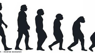 Human Evolution Reverse