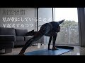 朝型習慣 | 私が朝にしていること＆早起きを習慣にするコツ