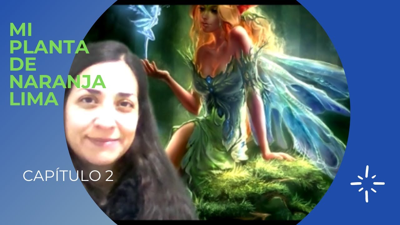 Mi planta de naranja lima- Capítulo 2 - YouTube