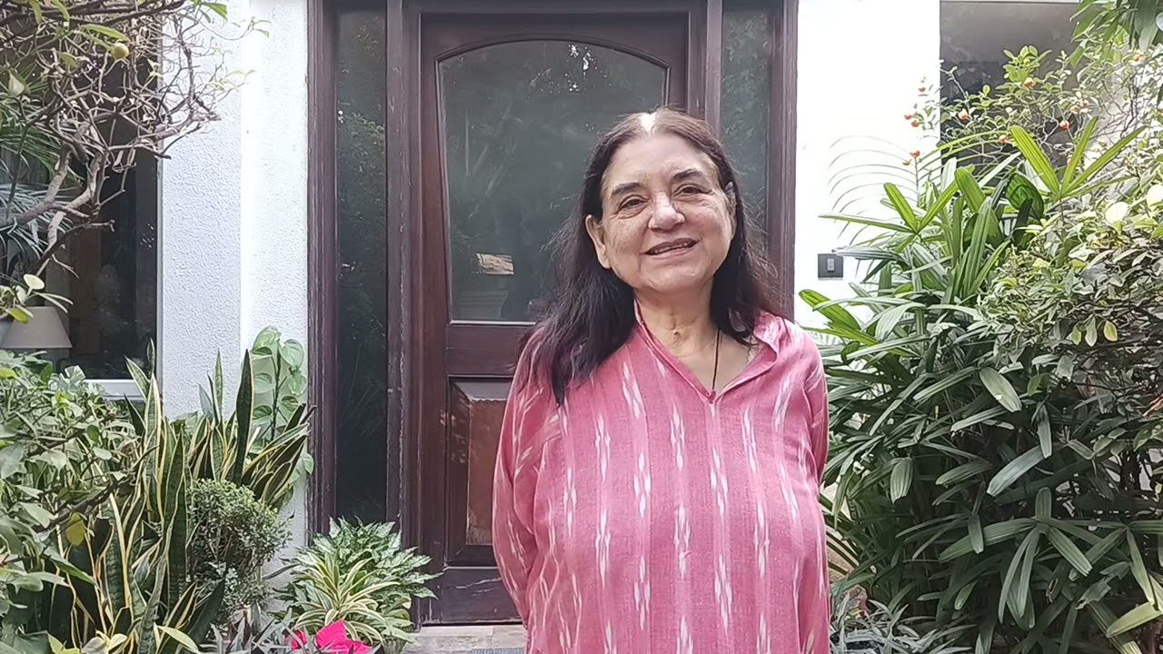 HELP ANIMALS INDIA | WORKING FOR ANIMALS | HELPING ANIMALS