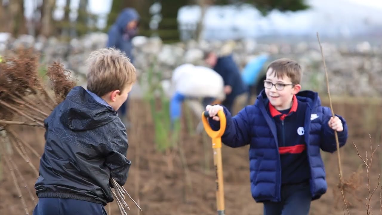 100 Million Trees Project - Galway Racecourse -January 2024