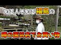 【福島の園芸店】買い物をとことん楽しみました【Usual garden works】【カーメン君】【園芸】【ガーデニング】【初心者】