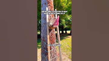 Now I have an actual target for my Tactical Speed Square Skills 😂 #shorts #skills #fyp #diy #ninja