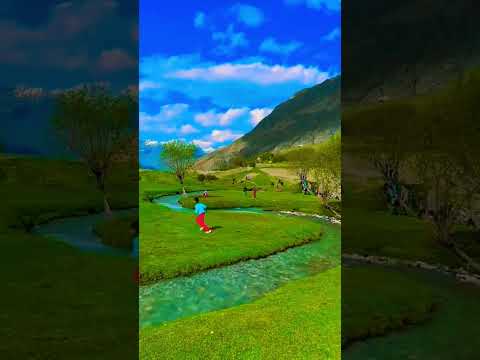 Most beautiful place in the worldBasho Valley Skardu | Camping in Basho Meadows #pakistan