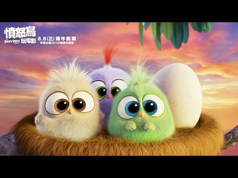 【憤怒鳥玩電影】媽咪辛苦了！
