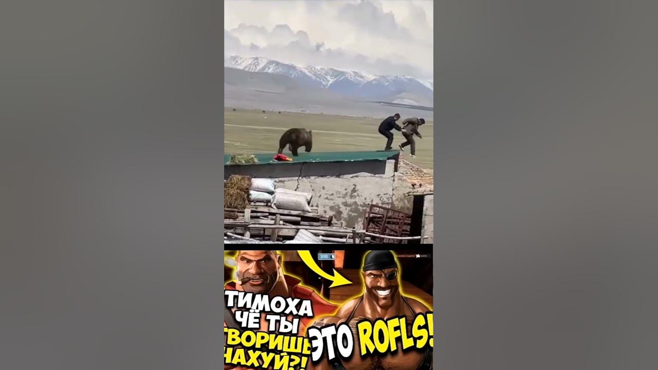 это рофлс! - YouTube