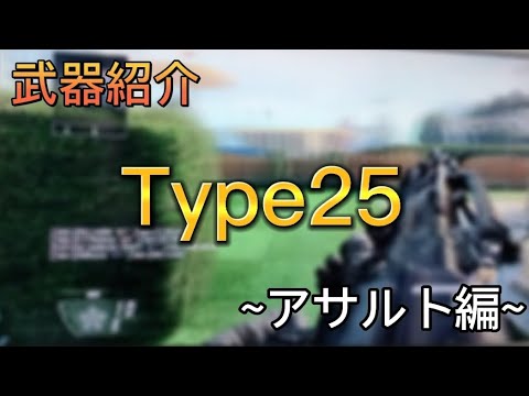 BO2武器紹介~アサルト編~Type25を使っていく