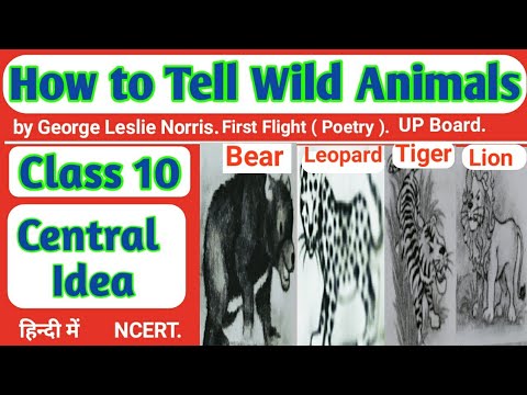How to Tell Wild Animals Central Idea Class 10 I class10 central idea poem  4 I हिन्दी में I upboard - YouTube
