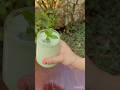 Sip chill repeat😋🌿☀️Mint masala chas to beat the heat #summer #food #chass #easyrecipe #cooking