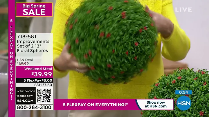 Improvements Set of 2 13" Floral Spheres