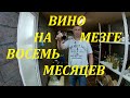 Красное сухое вино. Завершение мацерации через 8 месяцев.