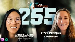 Episode #255 Lizzy Pennock & Joanna Zhang - Wolves, Grizzlies, and the ESA