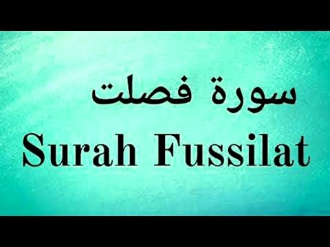 سورة-فصلت-من-صلاة-التراويح-1437-surah-fussilat-|-عبدالولي-الاركاني-abdulwali-alarkani