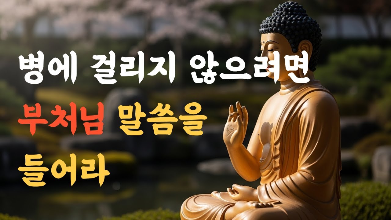 부처님 말씀, 명언읽어주기, 철학, 인생수업, 인간관계, 책, 삶의지혜, 오디오북, 모든명언, 불교명언, 건강, 마음습관을 알려드립니다.