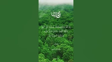 ﴿ إِنَّ اللَّهَ وَمَلَائِكَتَهُ يُصَلُّونَ عَلَى النَّبِيِّ ﴾ بصوت جميل القارئ عمر الدريويز 🌿🧡.