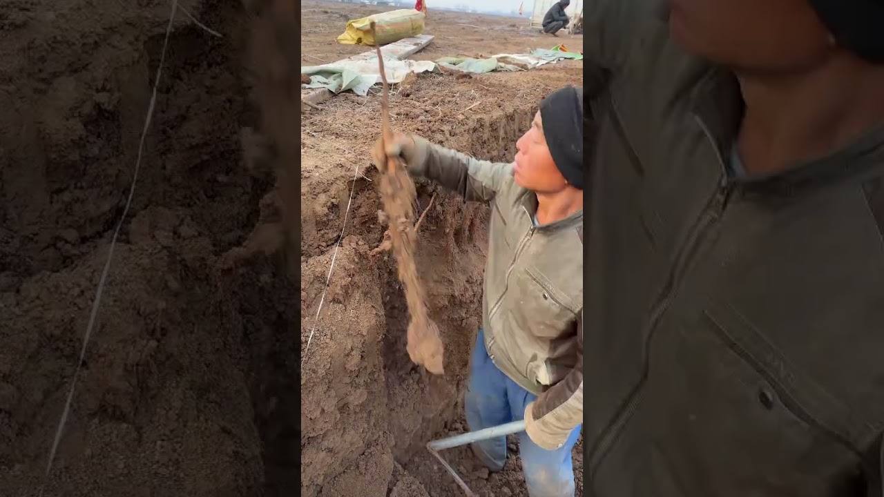 I understand that it's all because of love