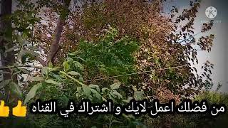 قصص جنسيه |حكايات ايمي|