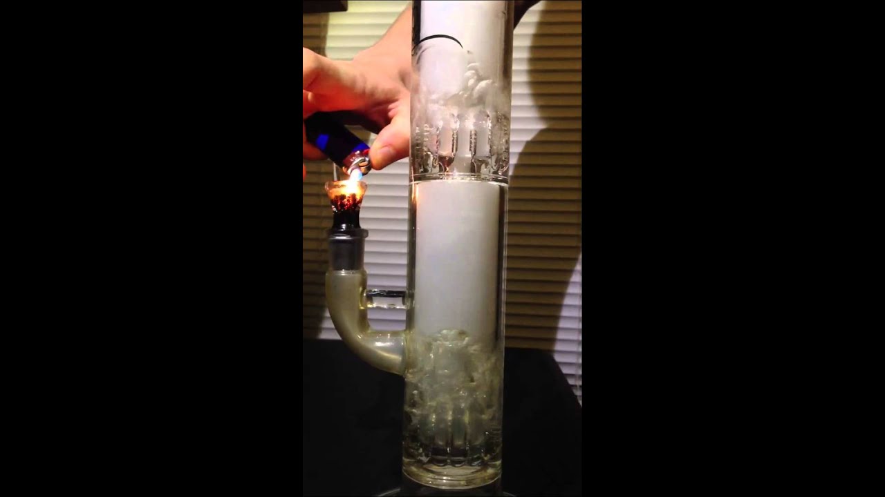 Dirty Rico double Apocoline 12s