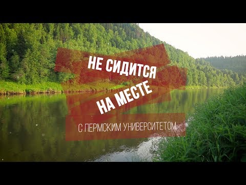 Какие ещё растения можно есть в лесу? Не сидится на месте Часть 2