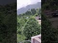 Missing moments goodmorning  nepal travel weed adventure nature savenature shorts viral