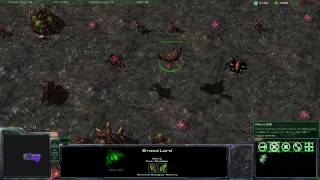 Maze Esports - Zerg Tutorial - Unit Strategy and Counters Part 2/2
