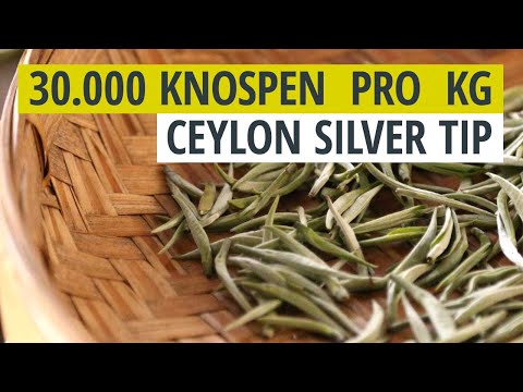 Weißer Tee Ceylon SilverTip - Zubereitung und Herkunft - video from Tea Exclusive