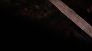 IMG 7846
