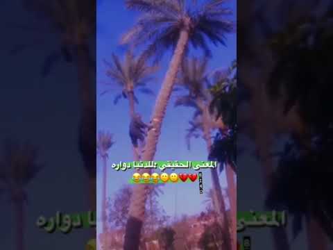 دور الدنيا يامغرور