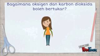 RESPIRASI TINGKATAN 3