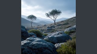 Download Lagu Golden Drum Glow MP3