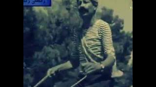 القسم على الله من الكريطة