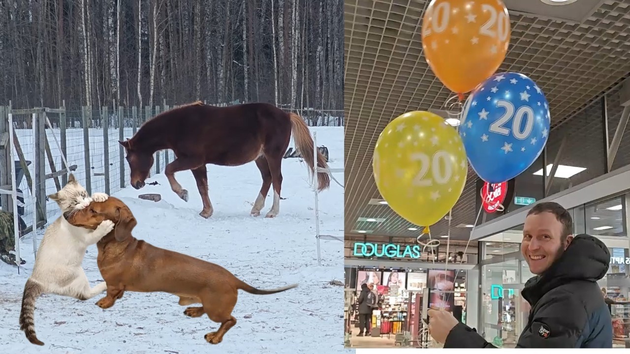 💯 Такого мы от нашей собаки не ожидали 