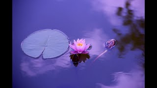 1 Hour of Relaxing Piano Music