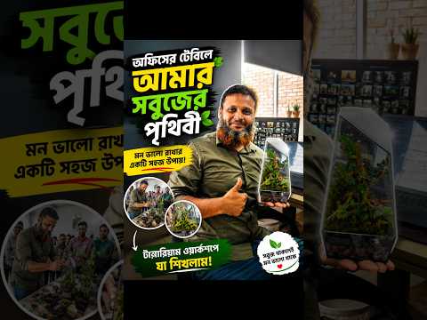 অফিসের ব্যস্ততার মাঝেও একটু সবুজ পরিবেশ মনকে শান্ত রাখে।#Terrarium