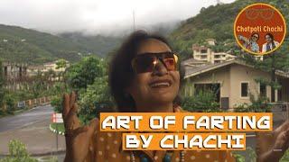 Art Of Farting By Chachi